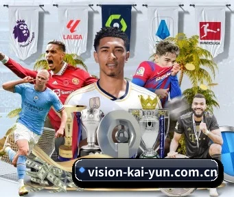 vision-kai-yun.com.cn APP